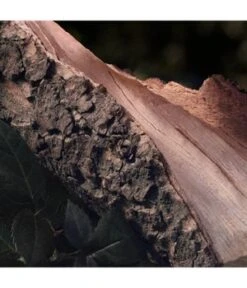 Chloé Rose Naturelle Eau De Parfum 9 Chloé Rose Naturelle Eau De Parfum -Optimal Kosmetik Geschäft 3614228842839 visual2