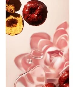 Rituals The Ritual Of Jing Jujube & Lotus Mini-Body Gift Set Small Gift Set Körperpflegeset -Optimal Kosmetik Geschäft 8719134141962 visual