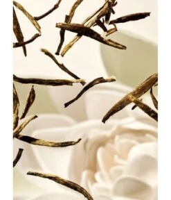 Rituals Life Is A Journey Lotus & White Tea Karma Car Perfume Raumduft -Optimal Kosmetik Geschäft 8719134153804 visual2