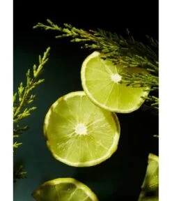 Rituals Life Is A Journey Homme Car Perfume Raumduft -Optimal Kosmetik Geschäft 8719134164206 visual2