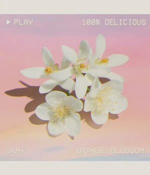 DKNY Be 100% Delicious Eau De Parfum 5 DKNY Be 100% Delicious Eau De Parfum – Bild 5