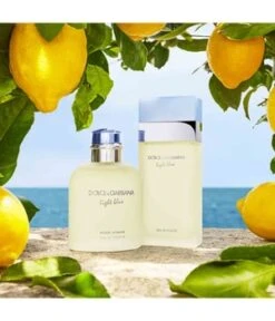 Dolce & Gabbana Dolce&Gabbana Light Blue Eau De Toilette -Optimal Kosmetik Geschäft dolce and gabbana null eau de toilette 25 ml 3423473020257 visual3