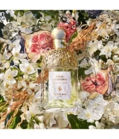 GUERLAIN Aqua Allegoria Nerolia Vetiver Eau De Toilette -Optimal Kosmetik Geschäft guerlain aqua allegoria nerolia vetiver eau de toilette 75 ml 3346470144125 detail