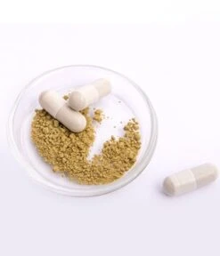 Pacific Healthcare Deepcell Restore Caps+ Nahrungsergänzungsmittel -Optimal Kosmetik Geschäft pacific healthcare deepcell restore caps nahrungsergaenzungsmittel 60 stk 4260702362011 detail