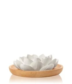 Primavera Aroma Duftstein Lotusblüte Raumduft -Optimal Kosmetik Geschäft primavera aroma duftstein lotusbluete raumduft 1 stk 4086900601116 visual