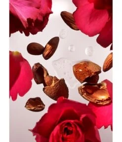 Rituals The Ritual Of Ayurveda Trial Set Körperpflegeset -Optimal Kosmetik Geschäft rituals the ritual of ayurveda trial set koerperpflegeset 1 stk 8719134118995 visual