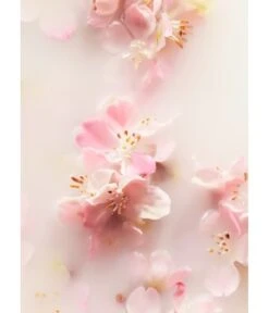 Rituals The Ritual Of Sakura Cherry Blossom & Rice Milk Bath & Body Large Gift Set Körperpflegeset -Optimal Kosmetik Geschäft rituals the ritual of sakura large gift set 2022 koerperpflegeset 1 stk 8719134142068 visual