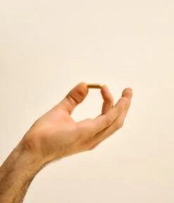 Ruby Libido Booster Für Ihn Pflanzliches Potenzmittel Nahrungsergänzungsmittel 8 Ruby Libido Booster Für Ihn Pflanzliches Potenzmittel Nahrungsergänzungsmittel -Optimal Kosmetik Geschäft ruby libido booster fuer ihn pflanzliches potenzmittel nahrungsergaenzungsmittel 20 stk 4260760730036 visual2