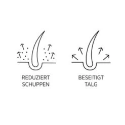 System Professional LipidCode Man Anti-Dandruff (M1D) Haarshampoo -Optimal Kosmetik Geschäft system professional man anti dandruff m1d haarshampoo 250 ml 4064666010090 detail