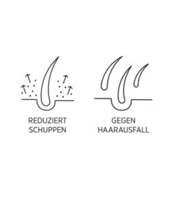 System Professional LipidCode Man Intensive Tonic (M4S) Haarwasser -Optimal Kosmetik Geschäft system professional man intensive tonic m4s haarwasser 100 ml 4064666010175 visual