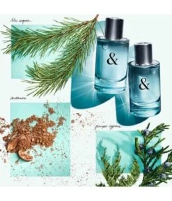 Tiffany & Co. & Love For Him Eau De Toilette -Optimal Kosmetik Geschäft tiffany and co and love for him eau de toilette 50 ml 3614227728820 visual