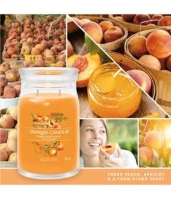 Yankee Candle Farm Fresh Peach Duftkerze -Optimal Kosmetik Geschäft yankee candle farm fresh peach duftkerze 567 g 5038581128719 visual2