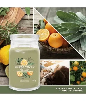 Yankee Candle Sage & Citrus Duftkerze 3 Yankee Candle Sage & Citrus Duftkerze – Bild 3