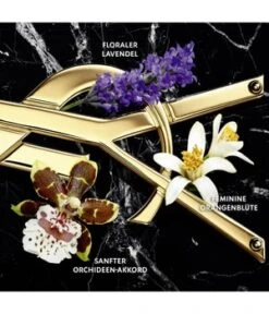 Yves Saint Laurent Libre Intense Eau De Parfum 7 Yves Saint Laurent Libre Intense Eau De Parfum -Optimal Kosmetik Geschäft yves saint laurent libre intense eau de parfum 30 ml 3614273069533 detail